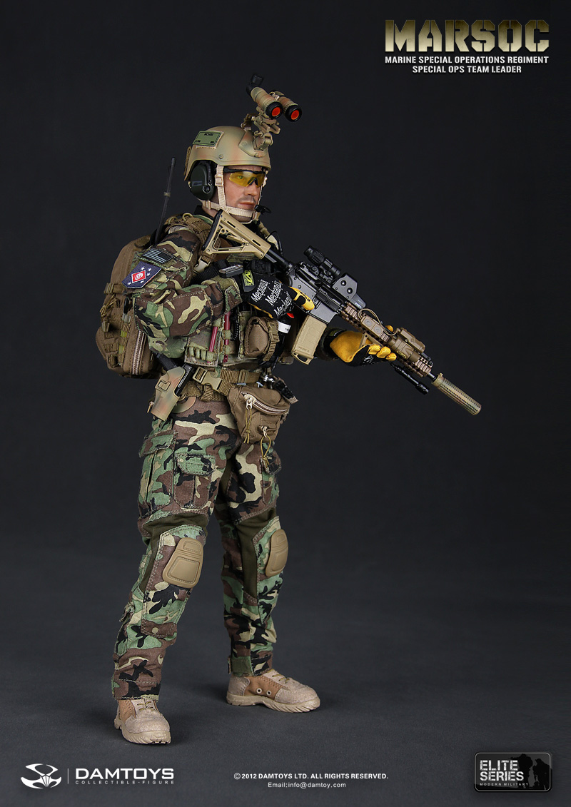 U.S. Marine Corps Special Operations Regiment, Commander of the Special Operations Team