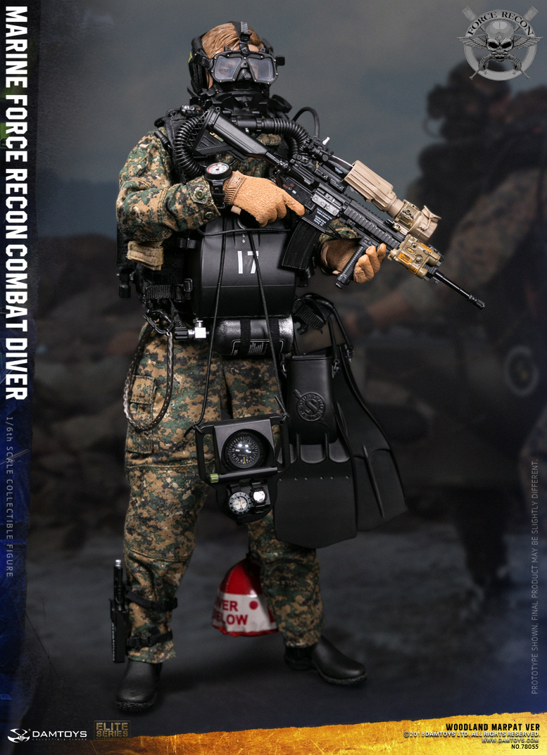 Marine Corps Armed Reconnaissance Combat Divers