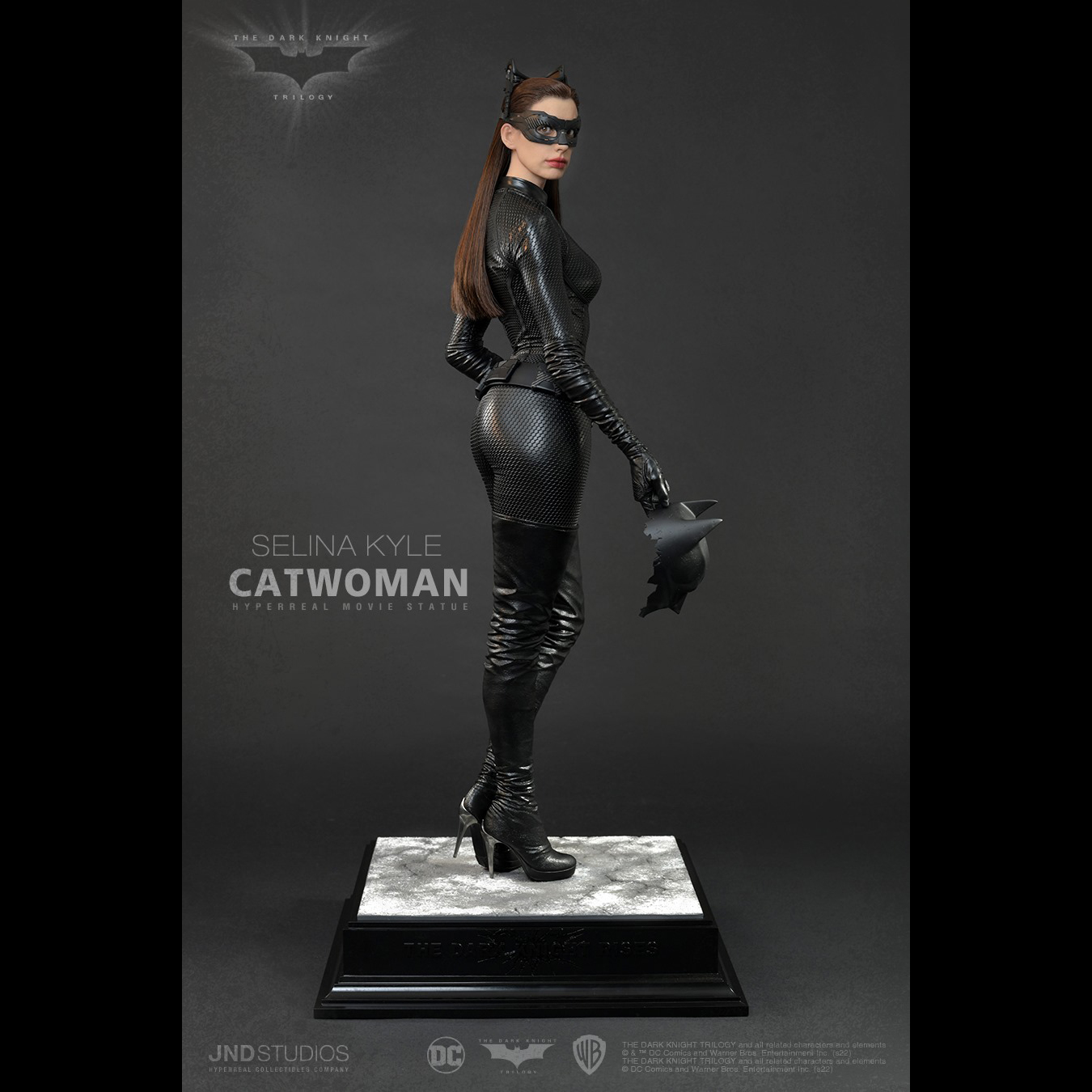 TDK Rises Selina Kyle Catwoman