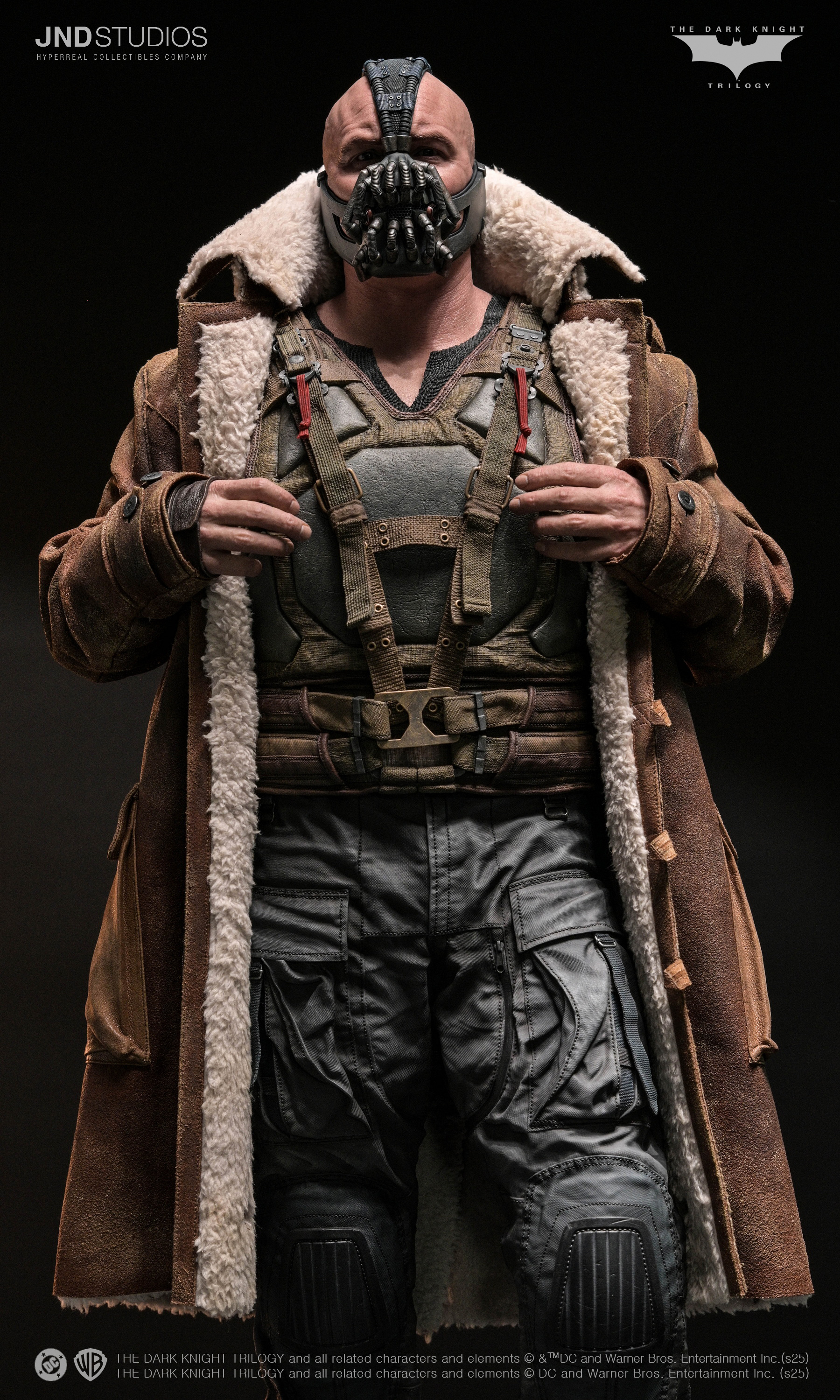 Bane of The Dark Knight Trilogy