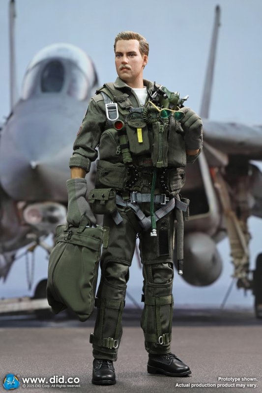 US Navy Fighter F-14 Pilot - Tom & Nick