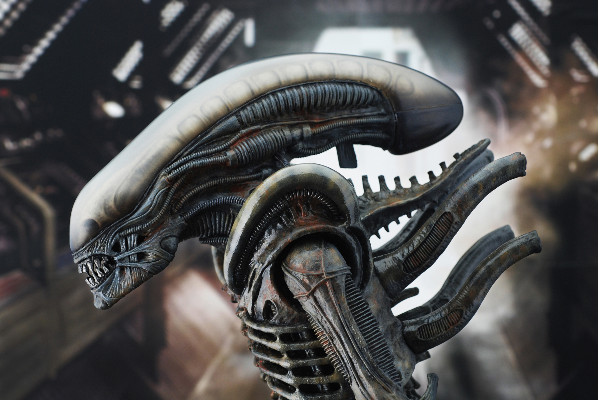 Alien - Big Chap Alien