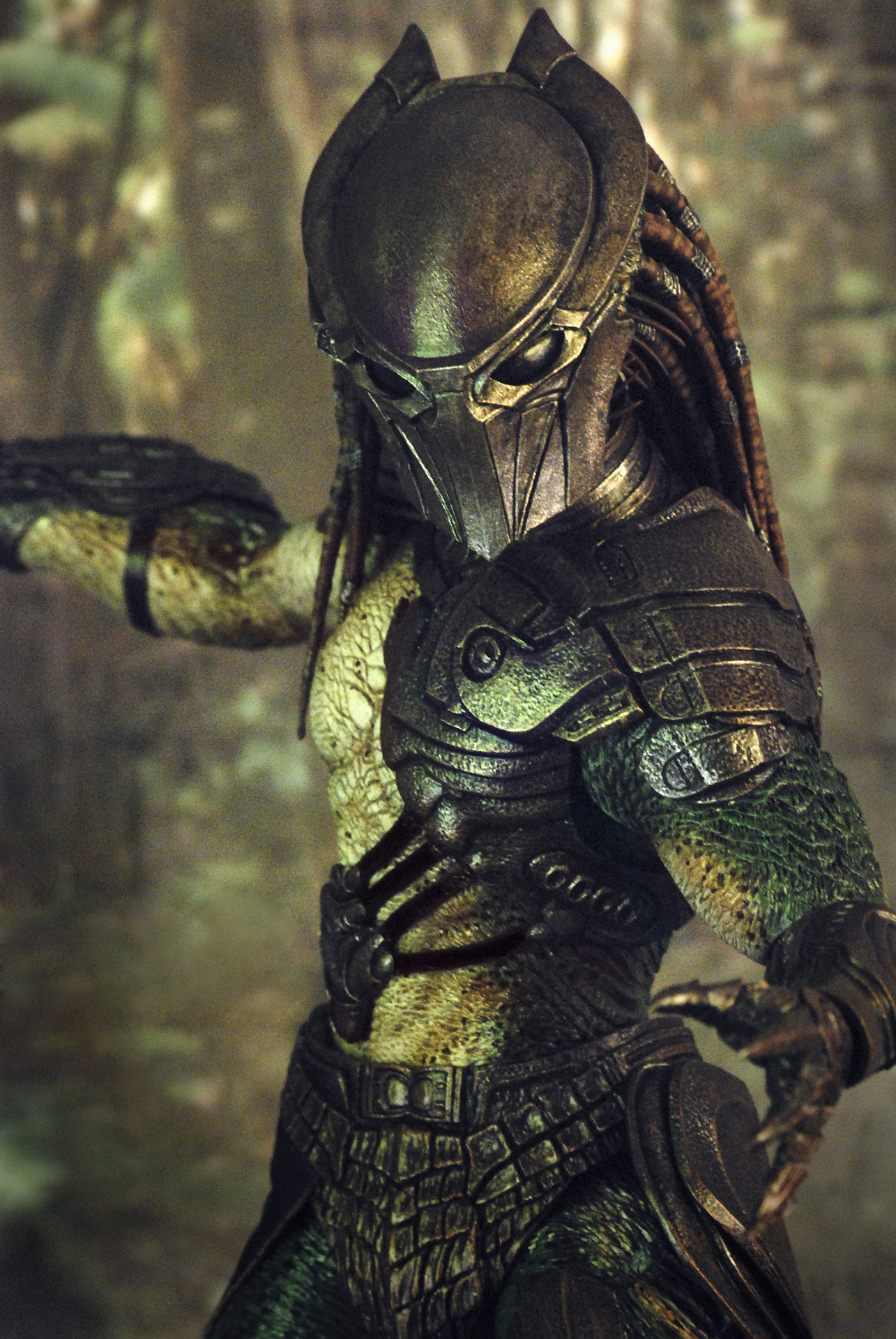 Predators - Falconer Predator