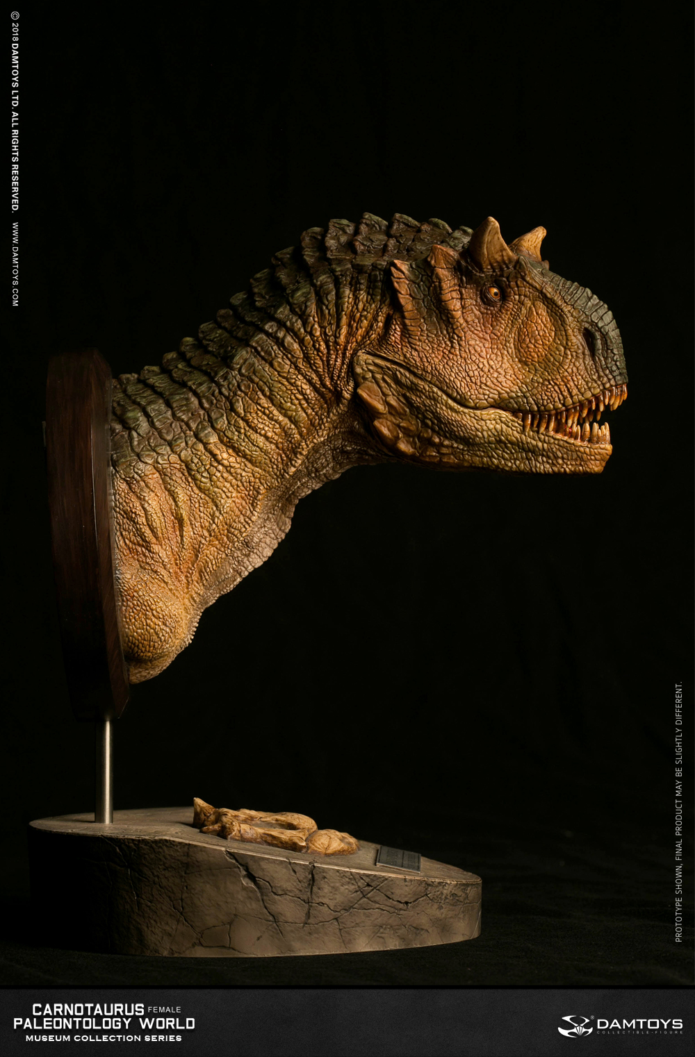 Carnotaurus (female) head statue, collector's item - MUS006A/B
