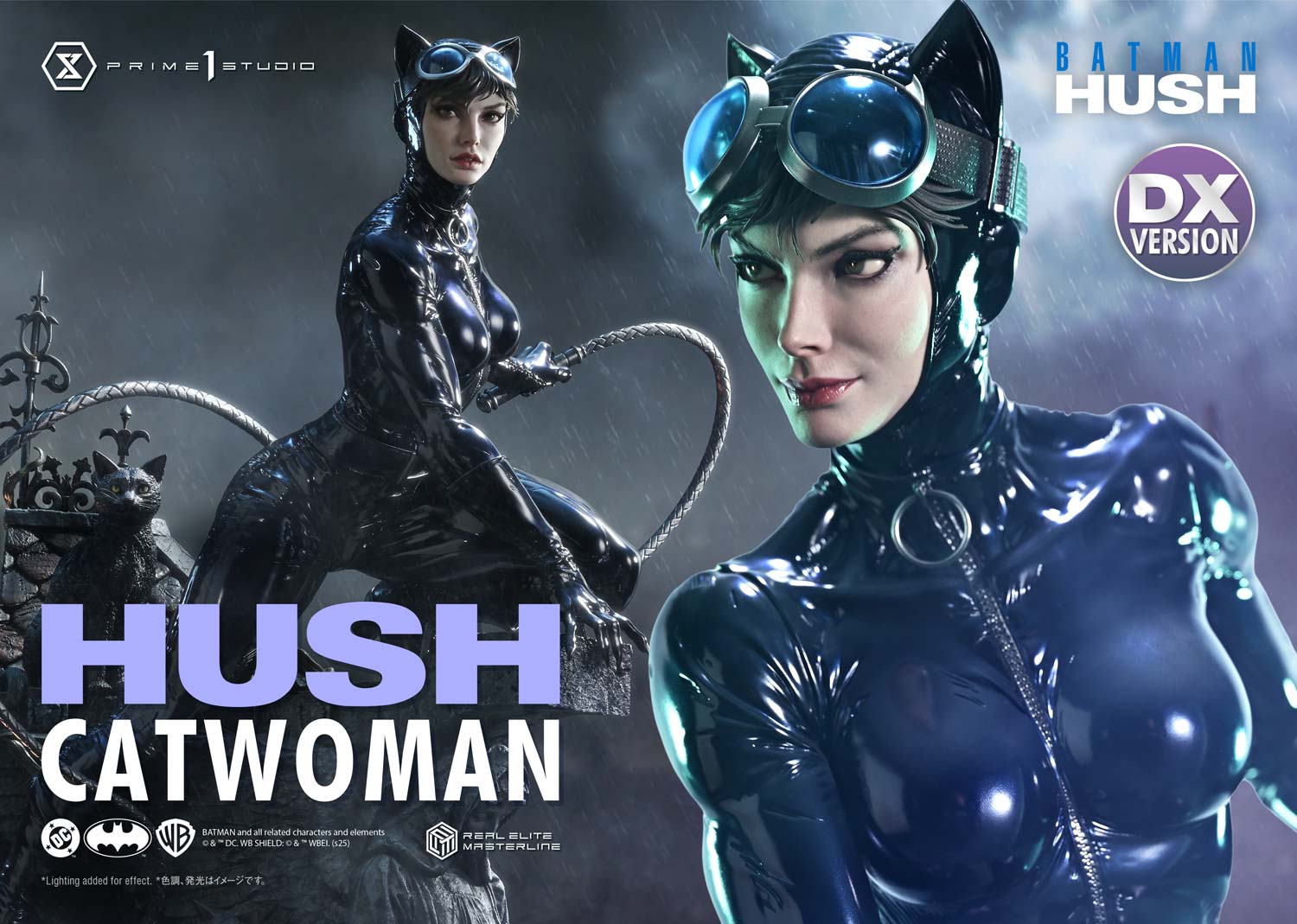 Catwoman DX