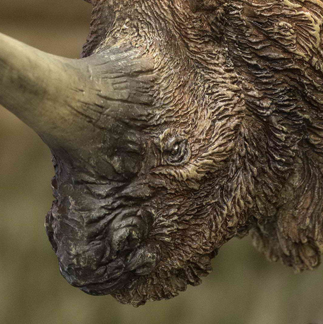 Elasmotherium Rhino (Brown Color Ver.)