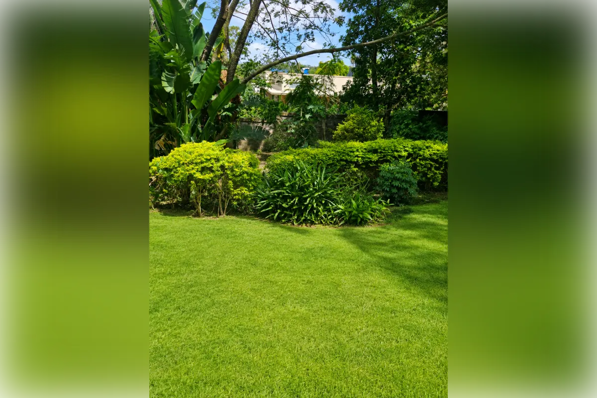 0.8 Acre Land for Sale in Lavington @Ksh. 190M