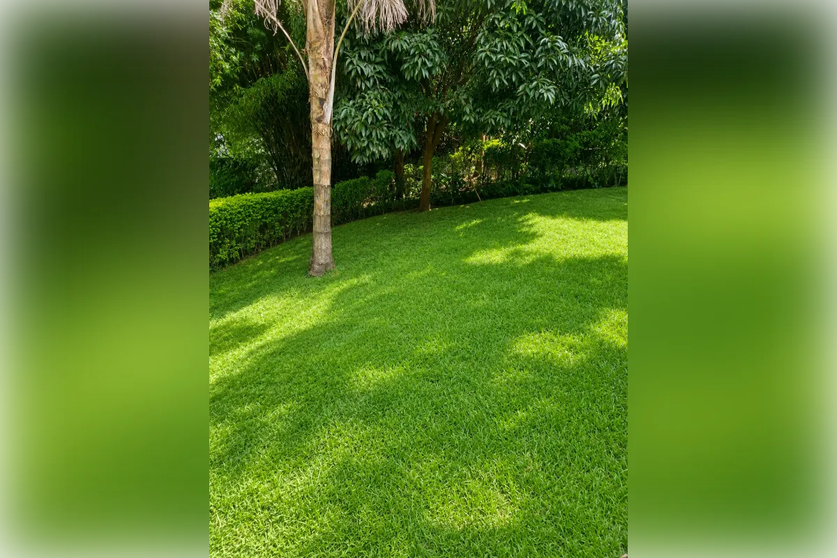 0.8 Acre Land for Sale in Lavington @Ksh. 190M