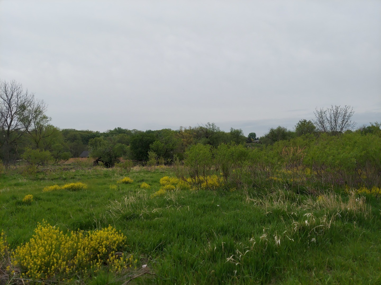 View 7