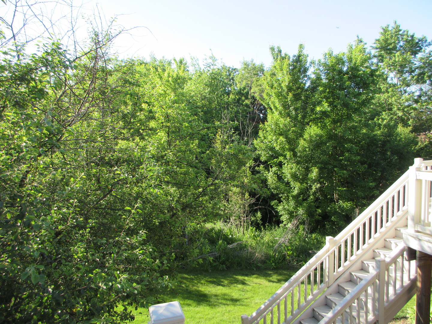 View 8