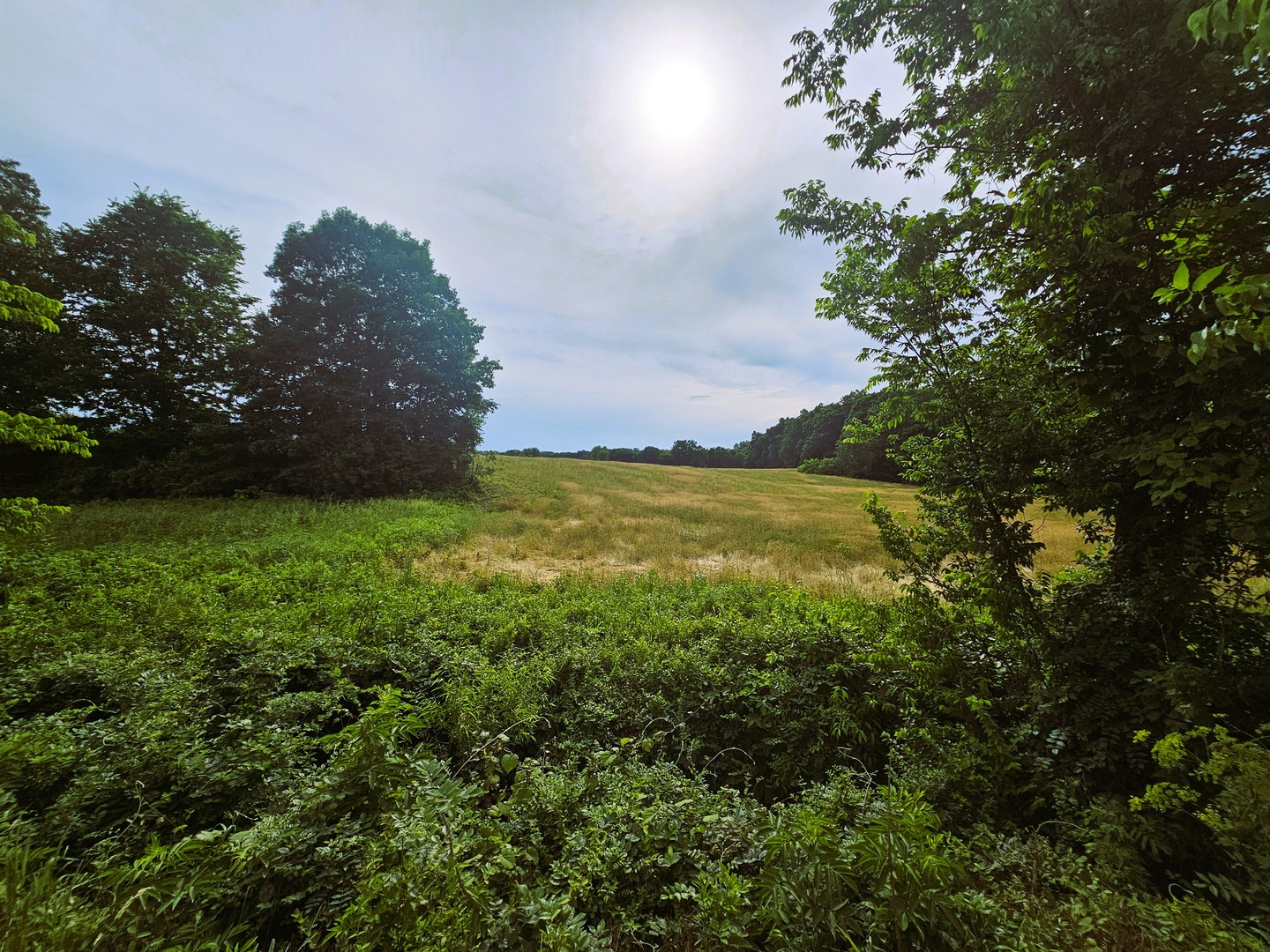 View 9