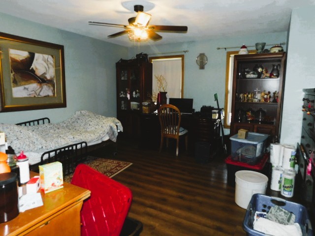 View 15