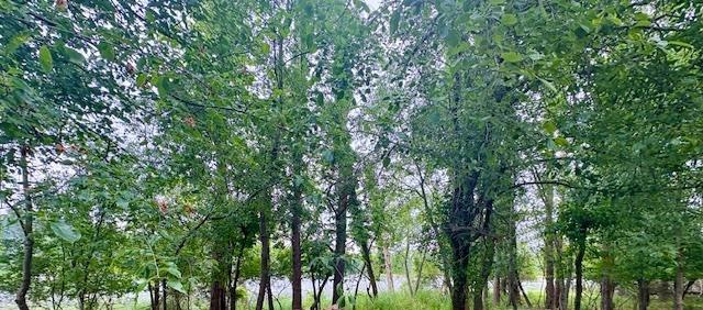 View 8