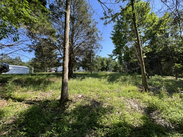 View 12