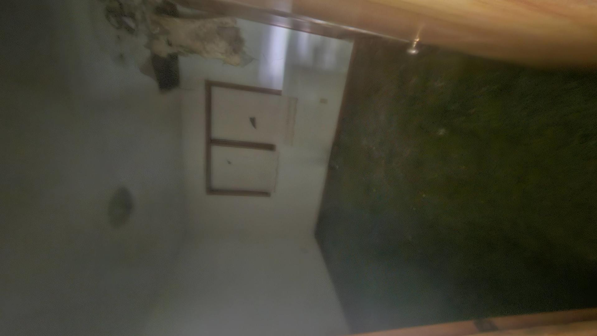 View 10