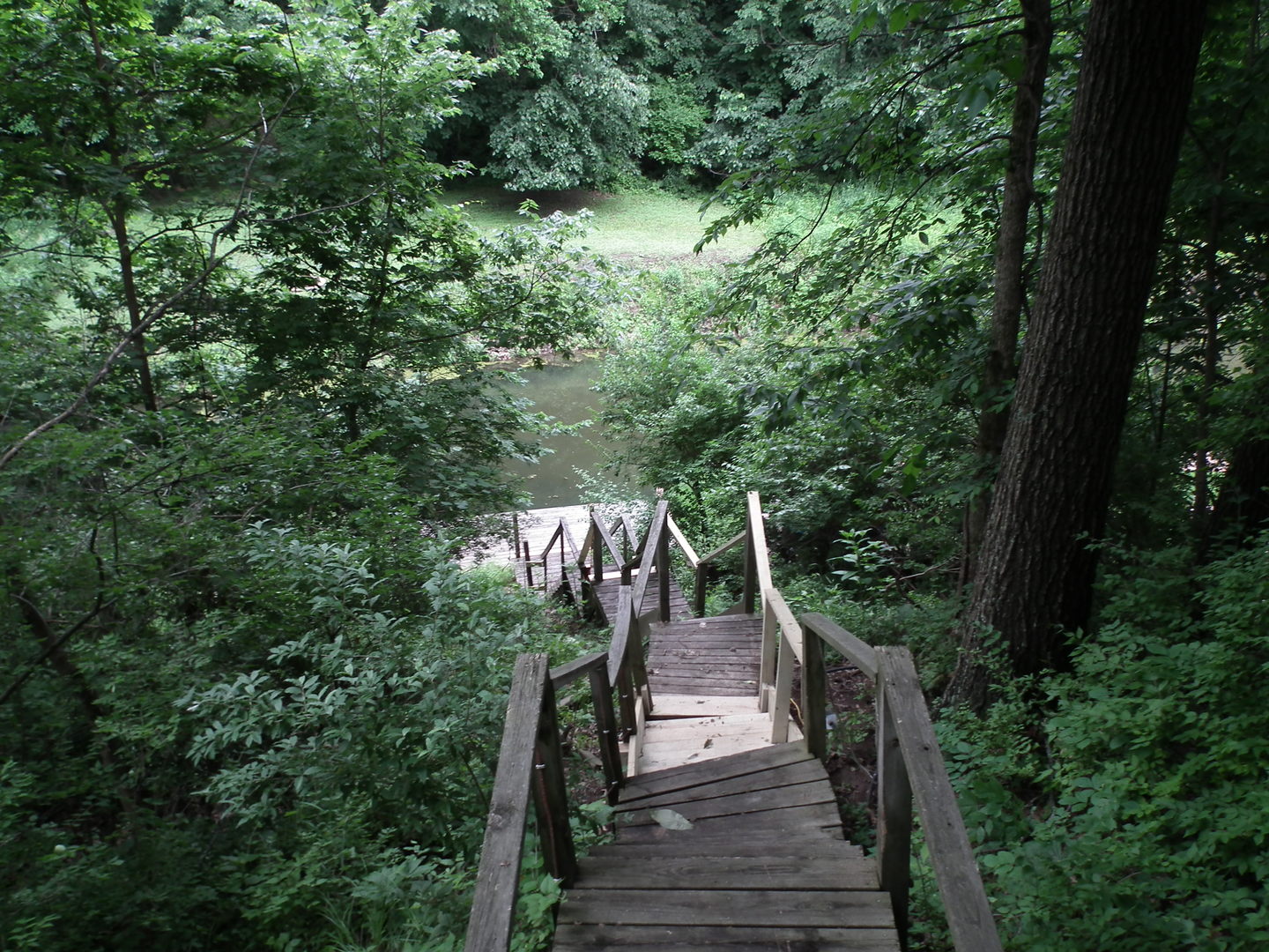 View 8