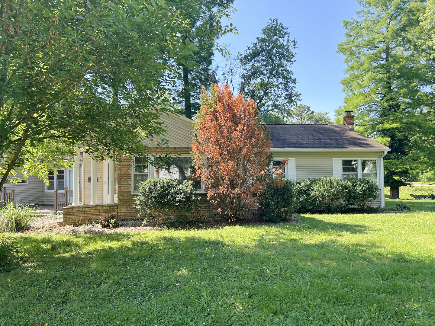 515 E Cedar Avenue