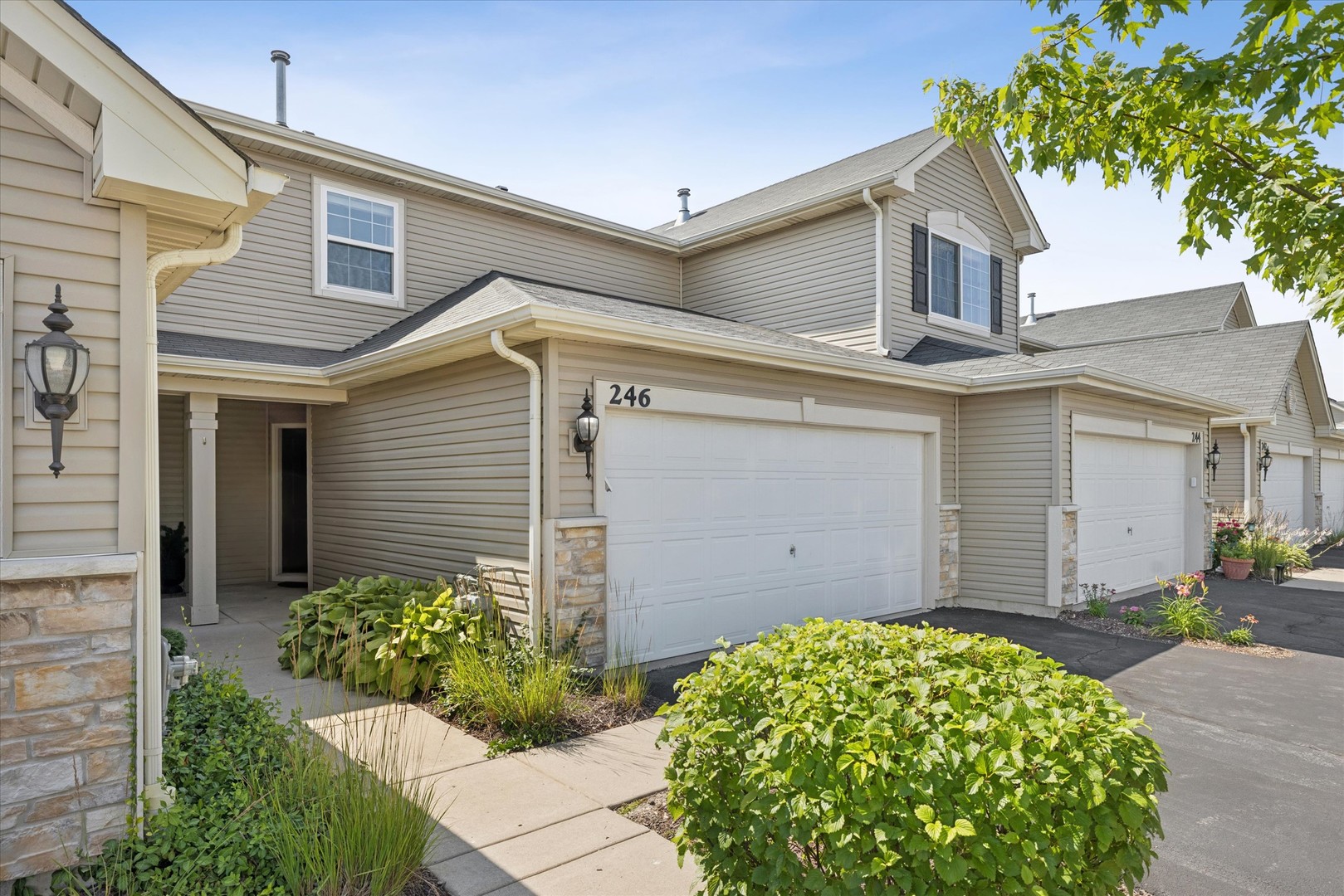 246 Wildmeadow Lane