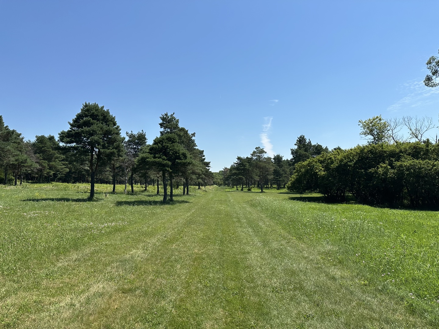 View 10