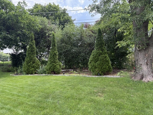 View 14
