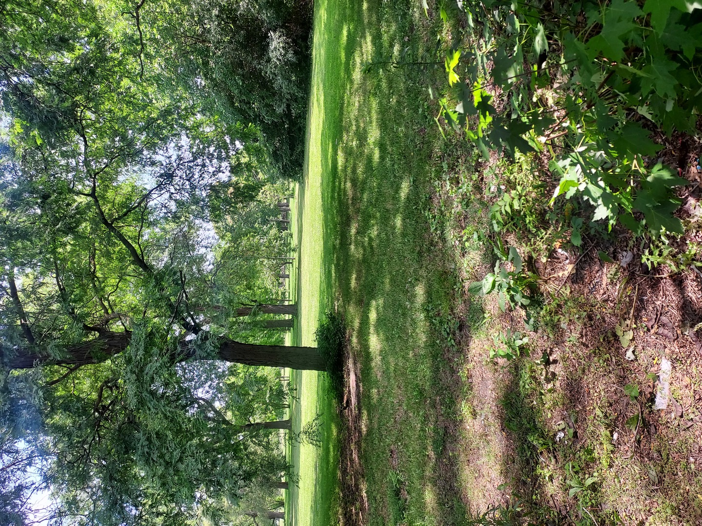View 15