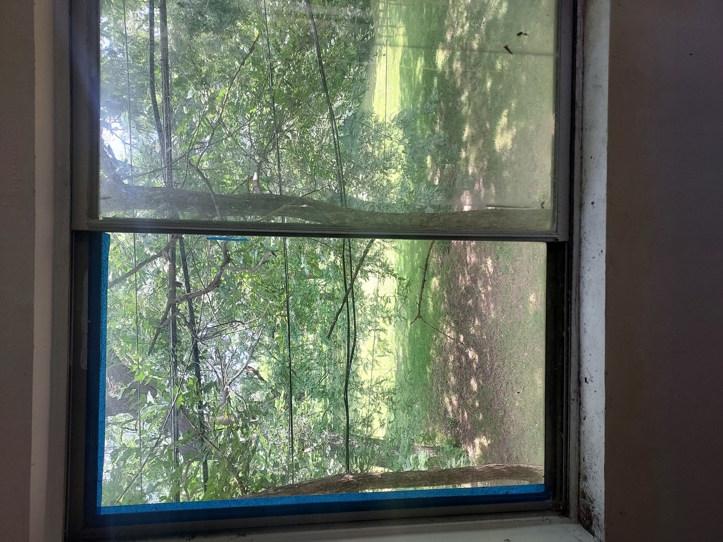 View 13