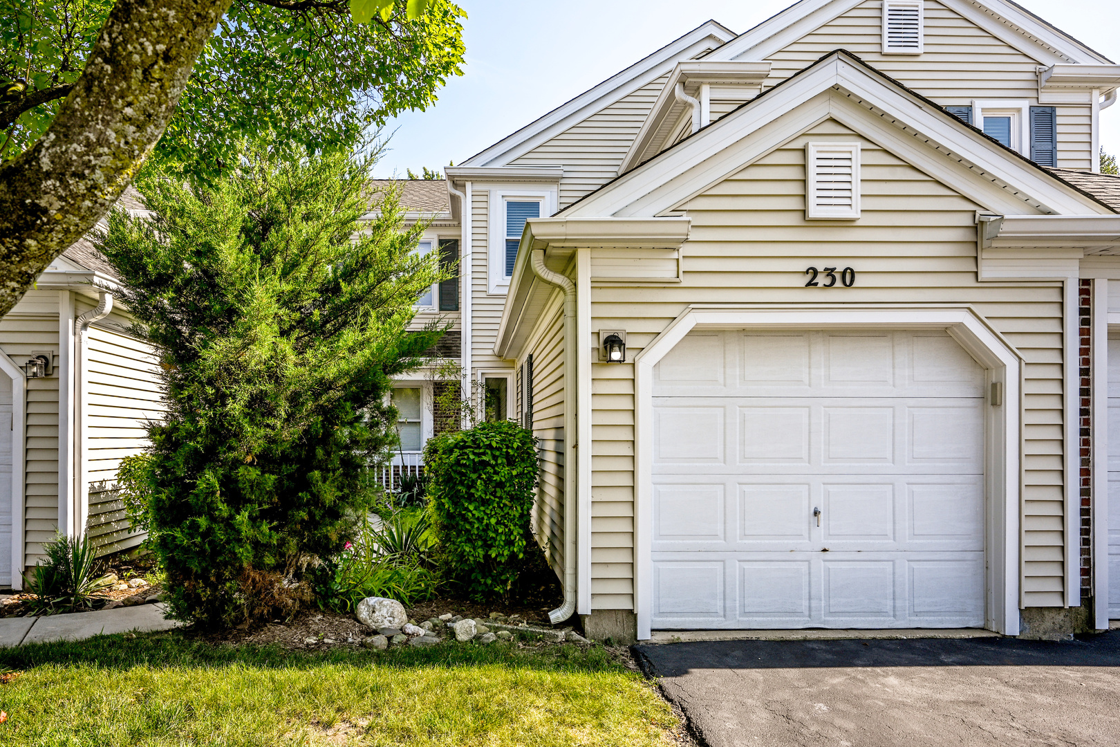 230 University Lane