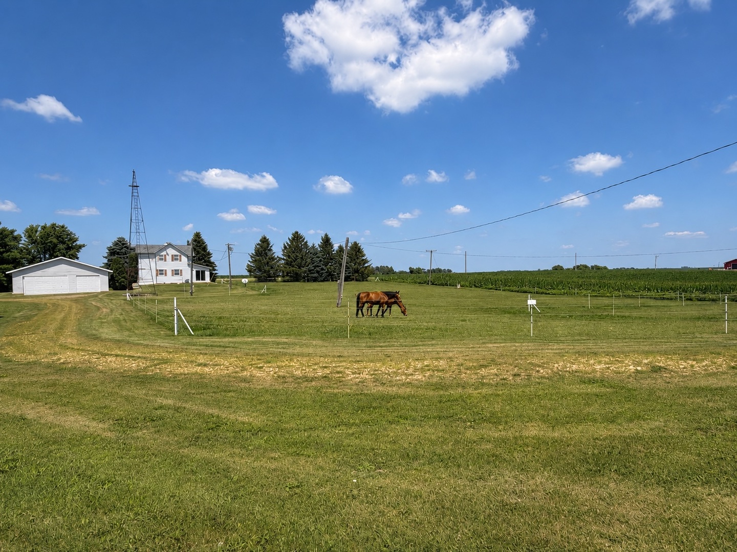 View 15