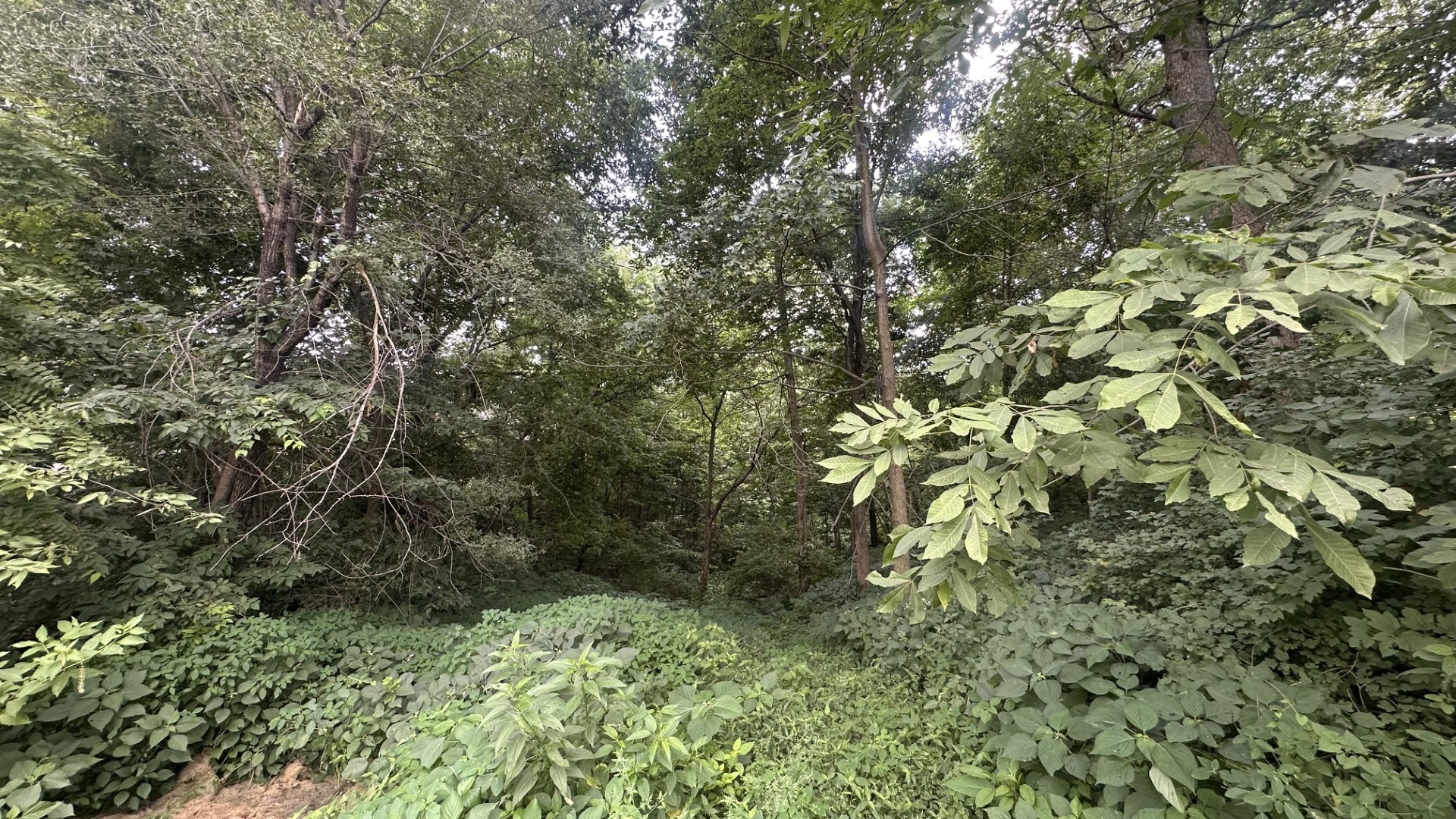 View 15