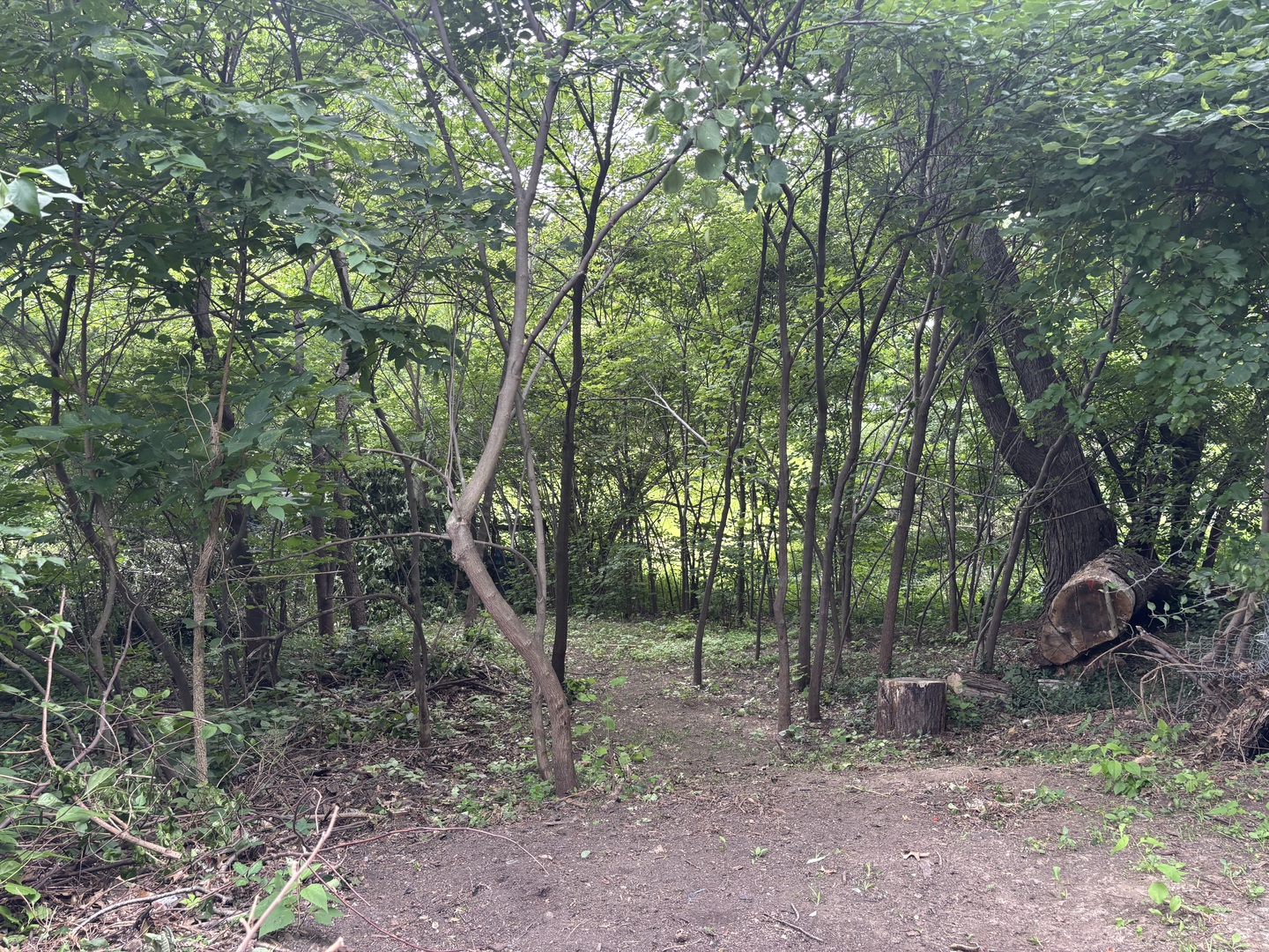 View 15