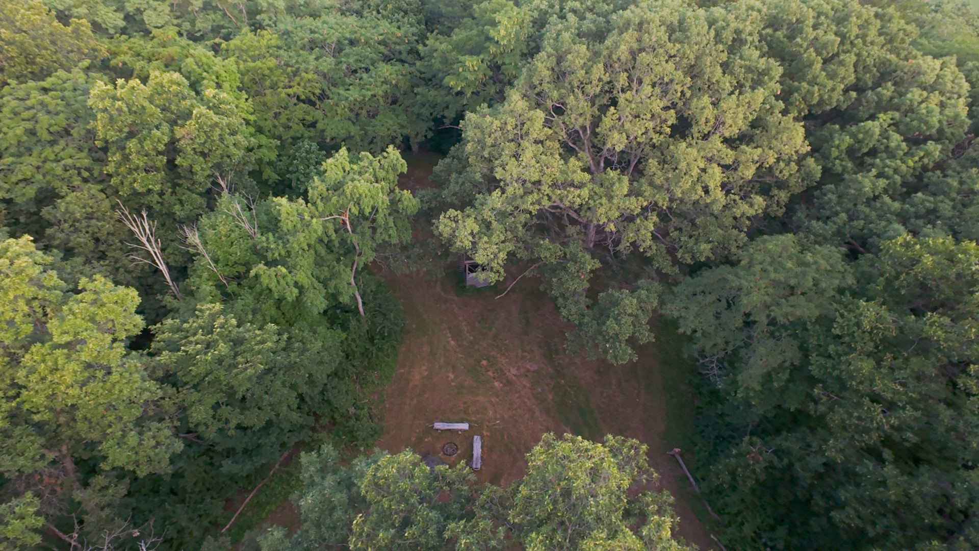 View 15