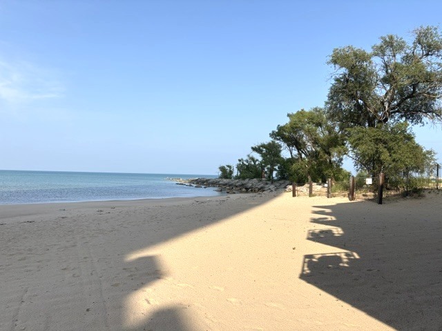 View 10