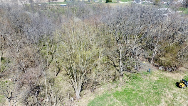 View 8