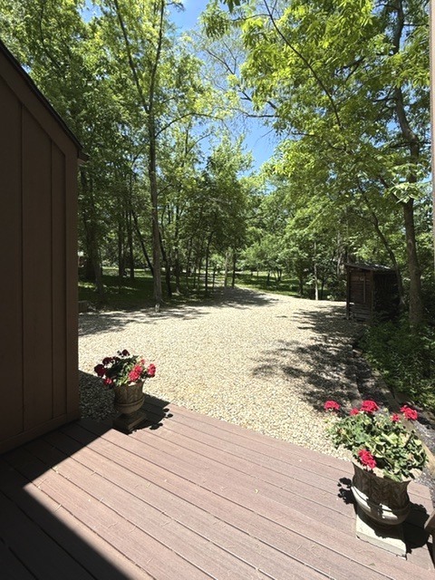 View 14