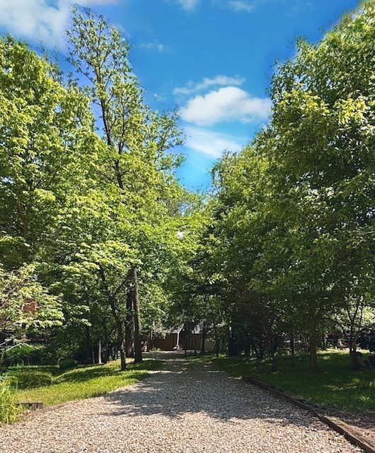 View 13