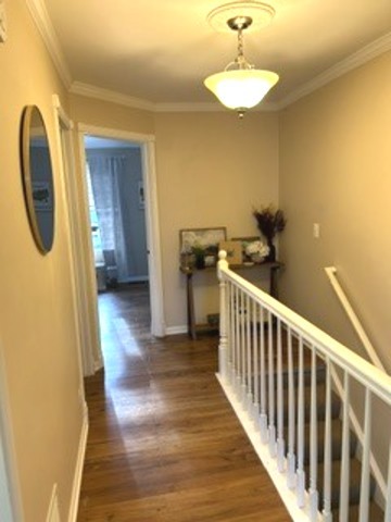 View 11