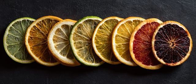 Panorama row of dried and fresh citrus slices on a dark surface