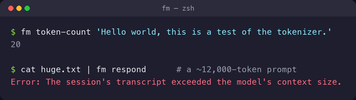 fm’s chat history json file to resume it back