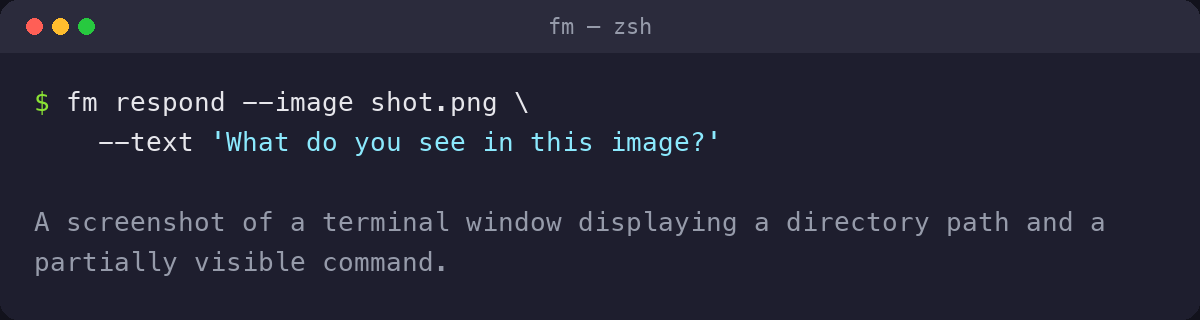 $ fm respond — image shot.png — text ‘What do you see in this image?’ A screenshot of a terminal window displaying a directory path and a partially visible command.