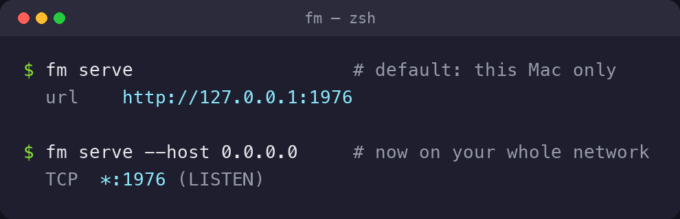 $ fm serve url http://127.0.0.1:1976