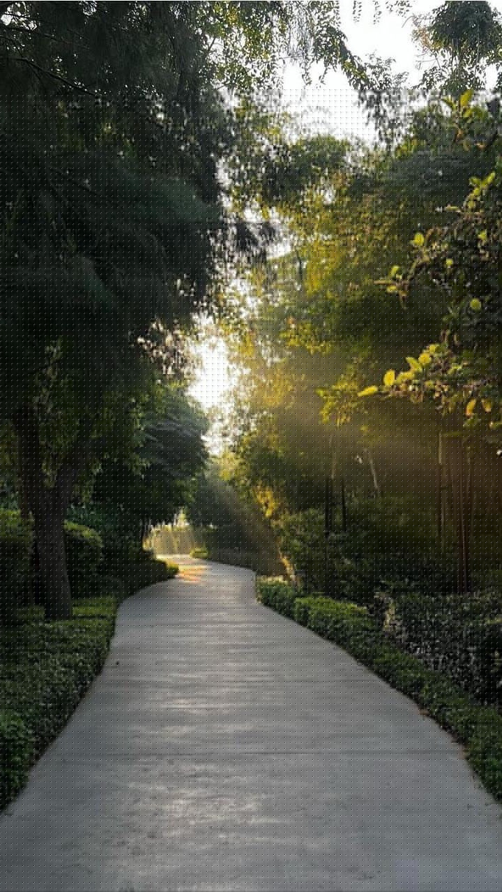 There are no skyscrapers.