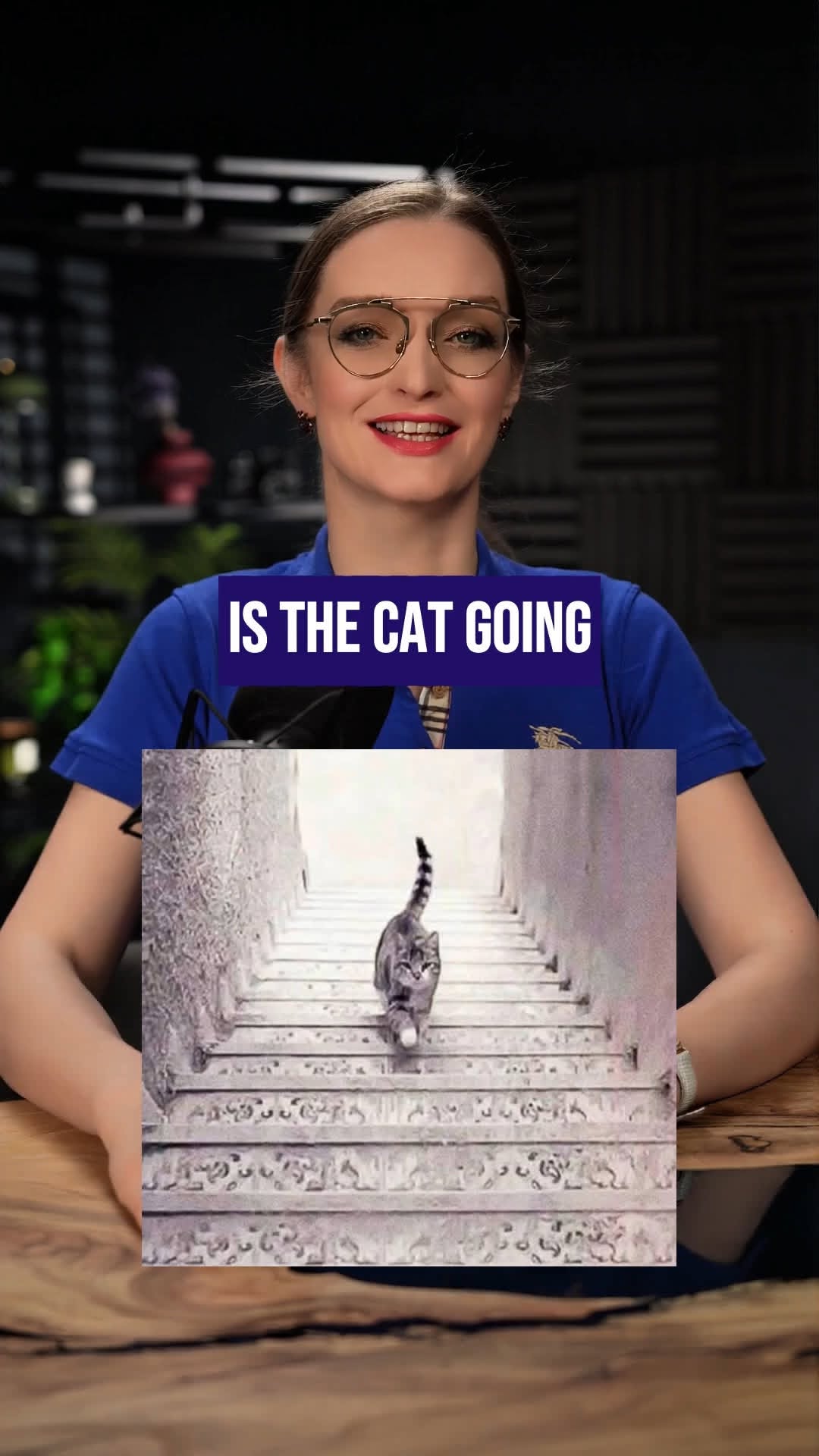 If you see the cat going up, you tend to be optimistic, alwa