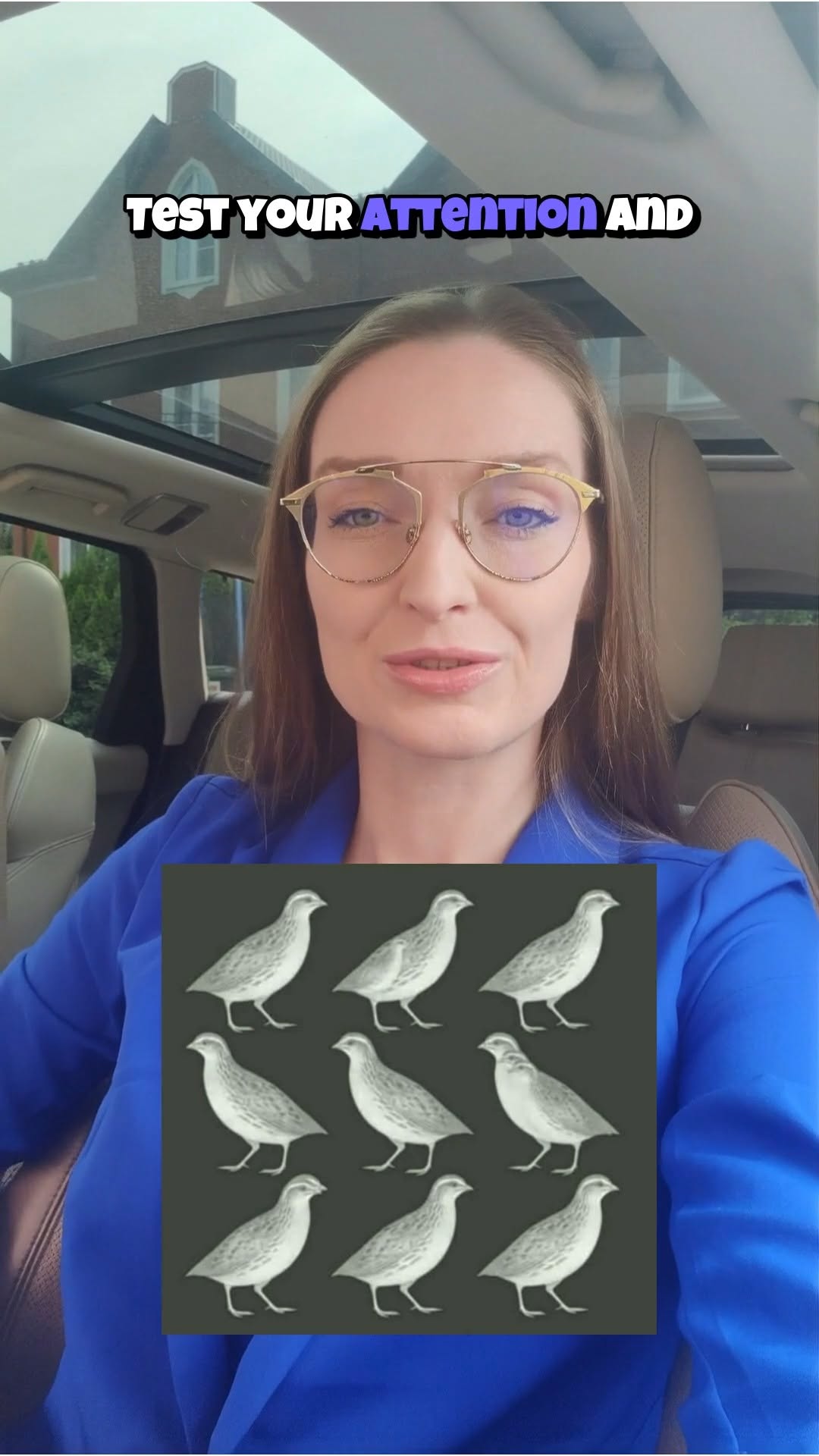 Test your attention and concentration. How many birds can yo