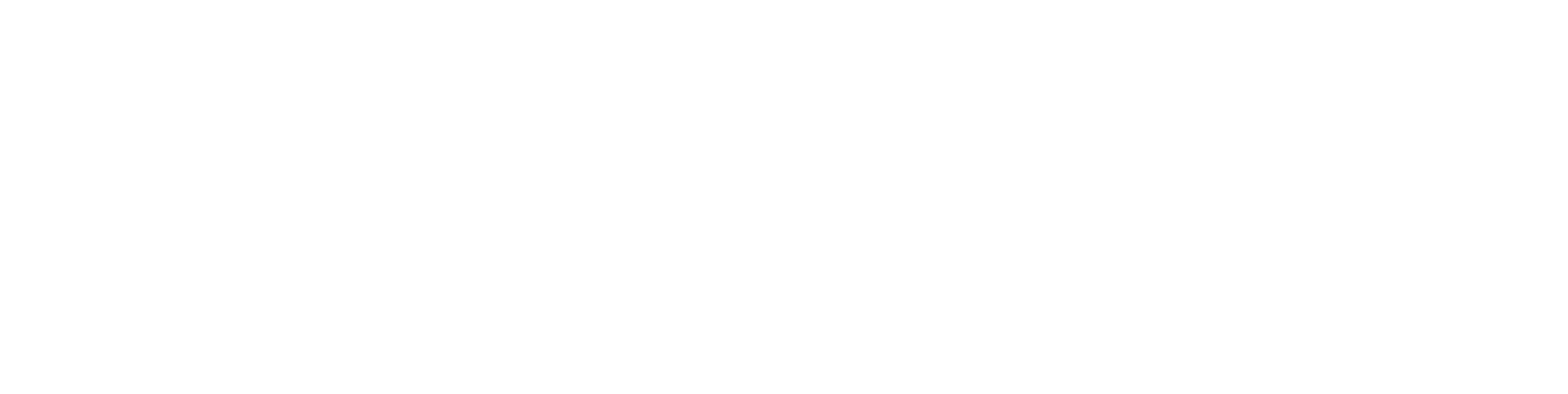 Transparent v2 - cropped - Reverse