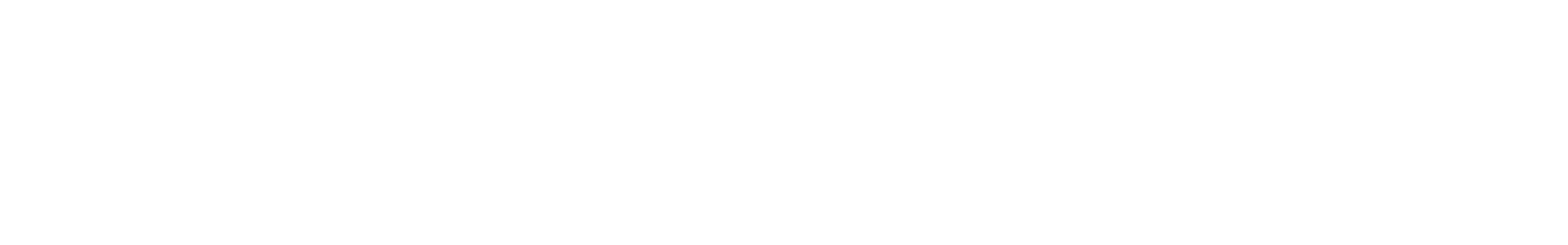 Transparent - cropped - Reverse