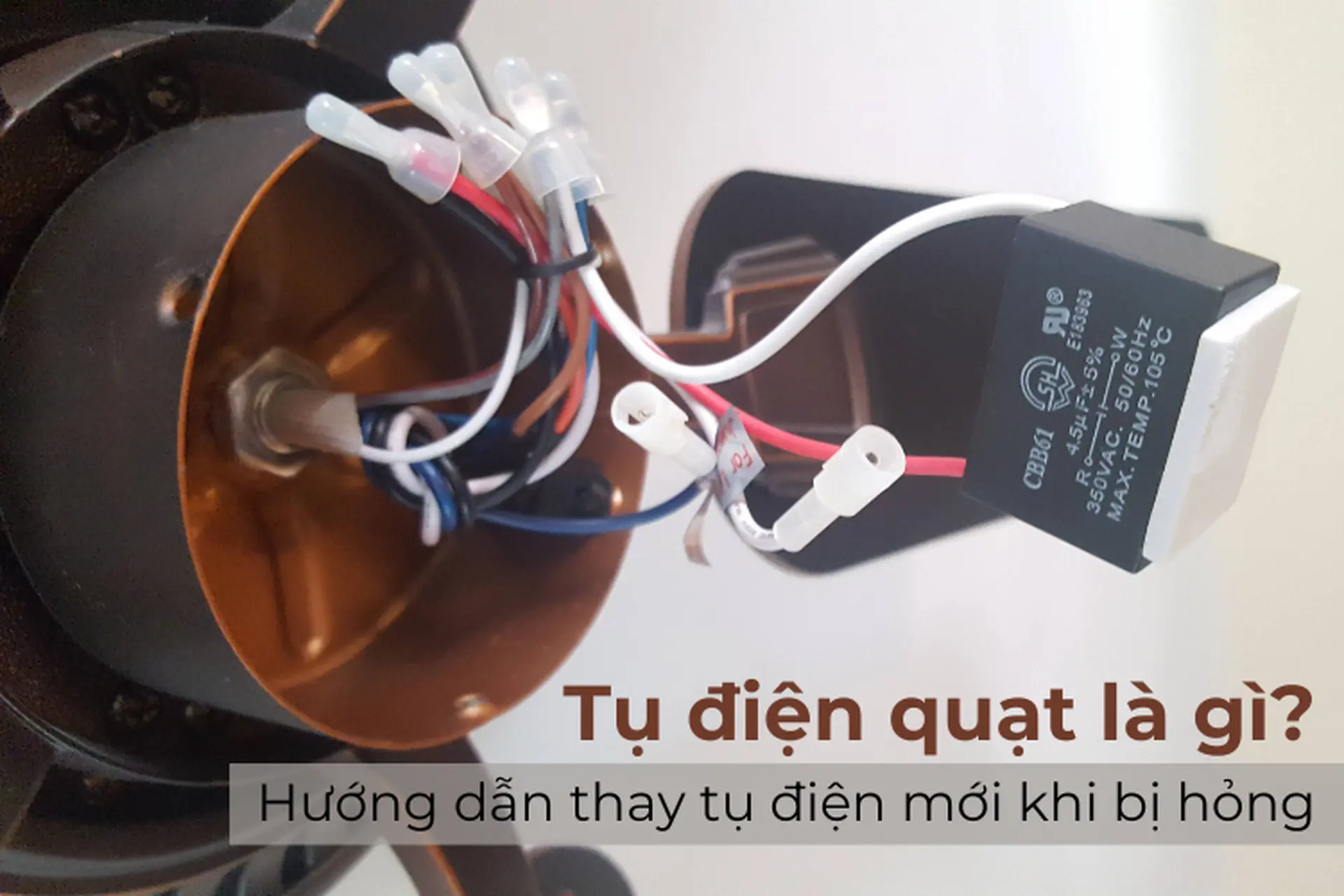 Lưu ý khi thay tụ quạt Gallery 1