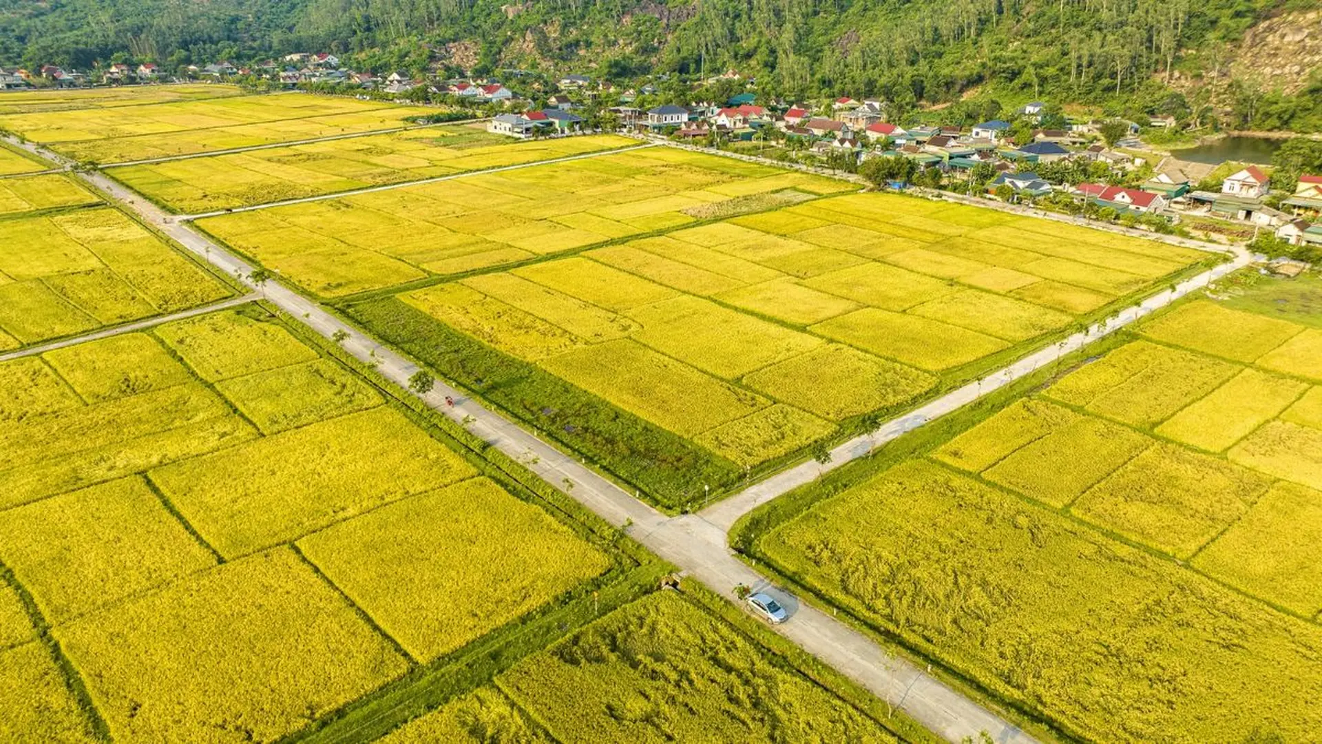 1 Công Ruộng Bằng Bao Nhiêu Mét Vuông?