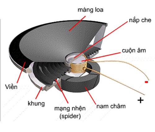 Cấu tạo của loa điện Gallery 1