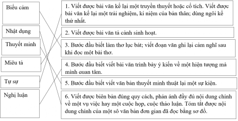 Các Thể Loại Văn Bản Lớp 6 Gallery 1