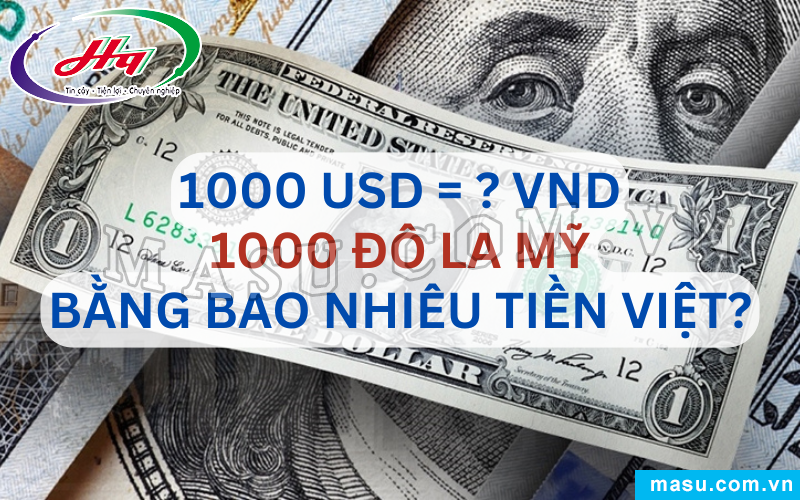 1 Ngàn Đô La Bằng Bao Nhiêu Tiền Việt Nam?